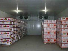 -18℃食品冷庫安裝多少錢一平米，冷庫價格多少錢
