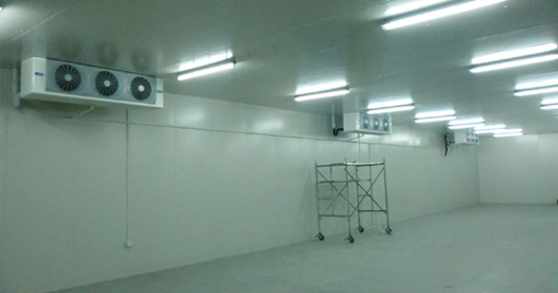 5000噸大蒜需建多大冷庫，冷庫造價(jià)多少錢