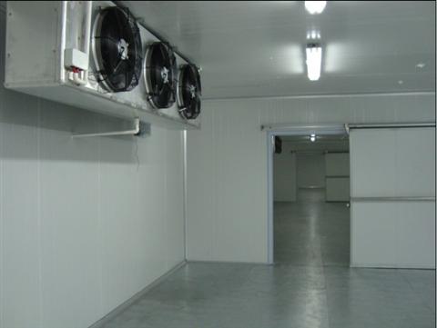 700噸海鮮冷庫建造，低溫冷庫需投資多少錢
