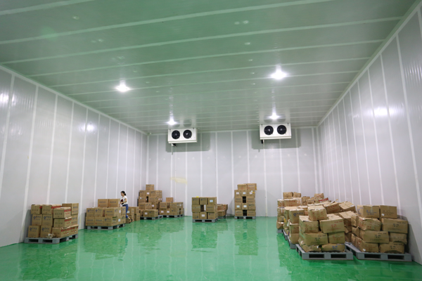 建800平米鮮玉米冷凍庫，-18℃冷凍庫造價多少