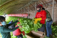一場(chǎng)疫情，突出了冷庫(kù)的重要性！