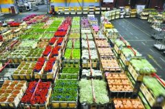 1000平米鮮花冷庫怎么安裝？造價費用是多少