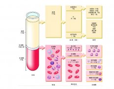-30℃～-80℃血漿蛋白低溫冷凍庫規(guī)范，冷庫安裝價格