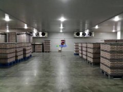 安裝1300噸水果冷藏庫預算是多少？后期用電能耗大嗎？
