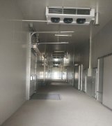 -25℃低溫海鮮魚肉加工廠冷凍庫安裝設(shè)計標(biāo)準(zhǔn)費用多少？